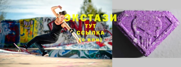 гашик Богородицк