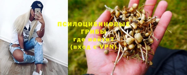 гашик Богородицк