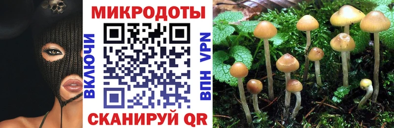 мега как зайти  Красноперекопск  Псилоцибиновые грибы прущие грибы 